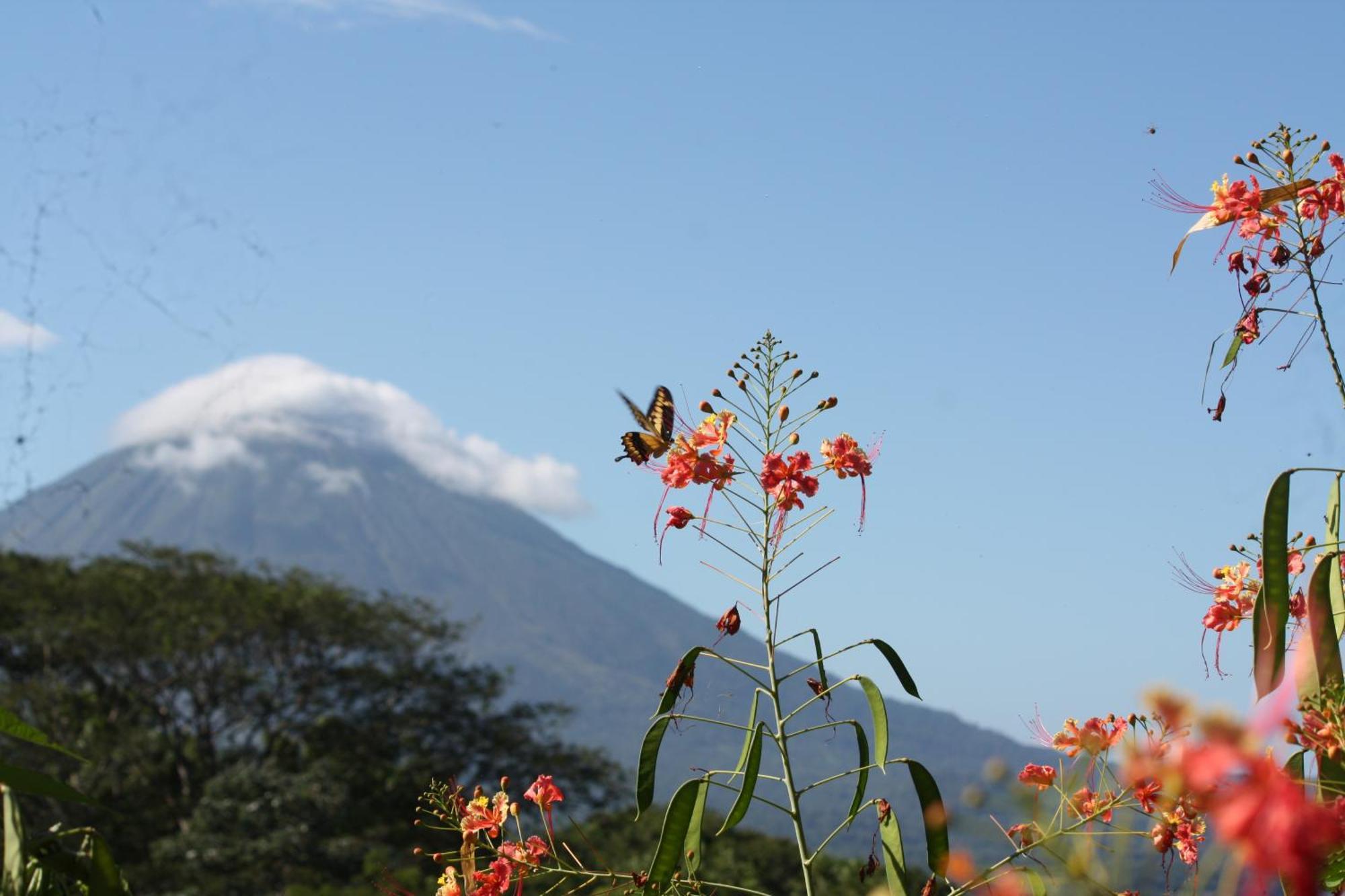 Totoco Eco Resort Balgue Eksteriør bilde
